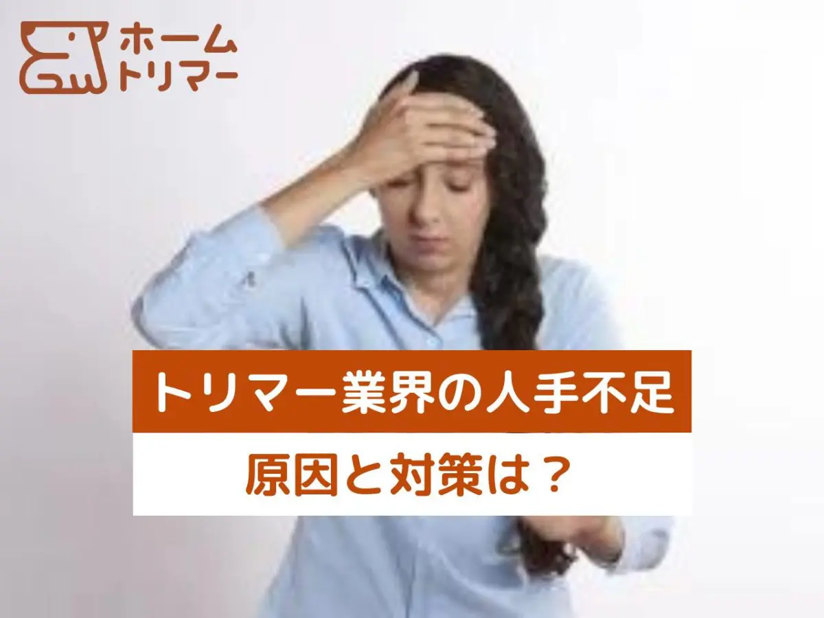 閉店前に見抜く！愛犬のためのトリミングサロン探しの秘訣 – 自宅出張トリミング「ホームトリマー」