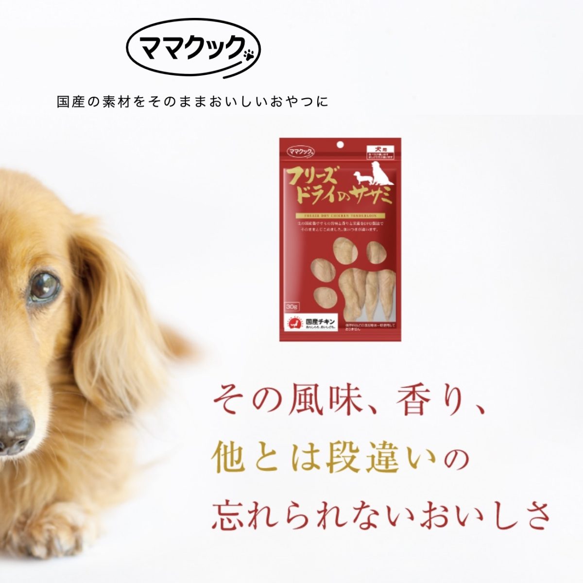 トリマーおすすめアイテム