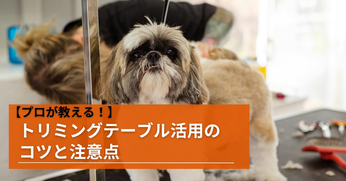 ❤プロが愛用する実用レベル♪❤高級トリミングシザー付属❣トリミング