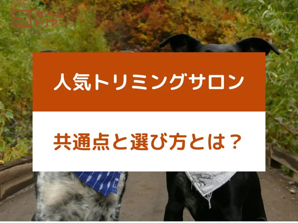 閉店前に見抜く！愛犬のためのトリミングサロン探しの秘訣 – 自宅出張トリミング「ホームトリマー」