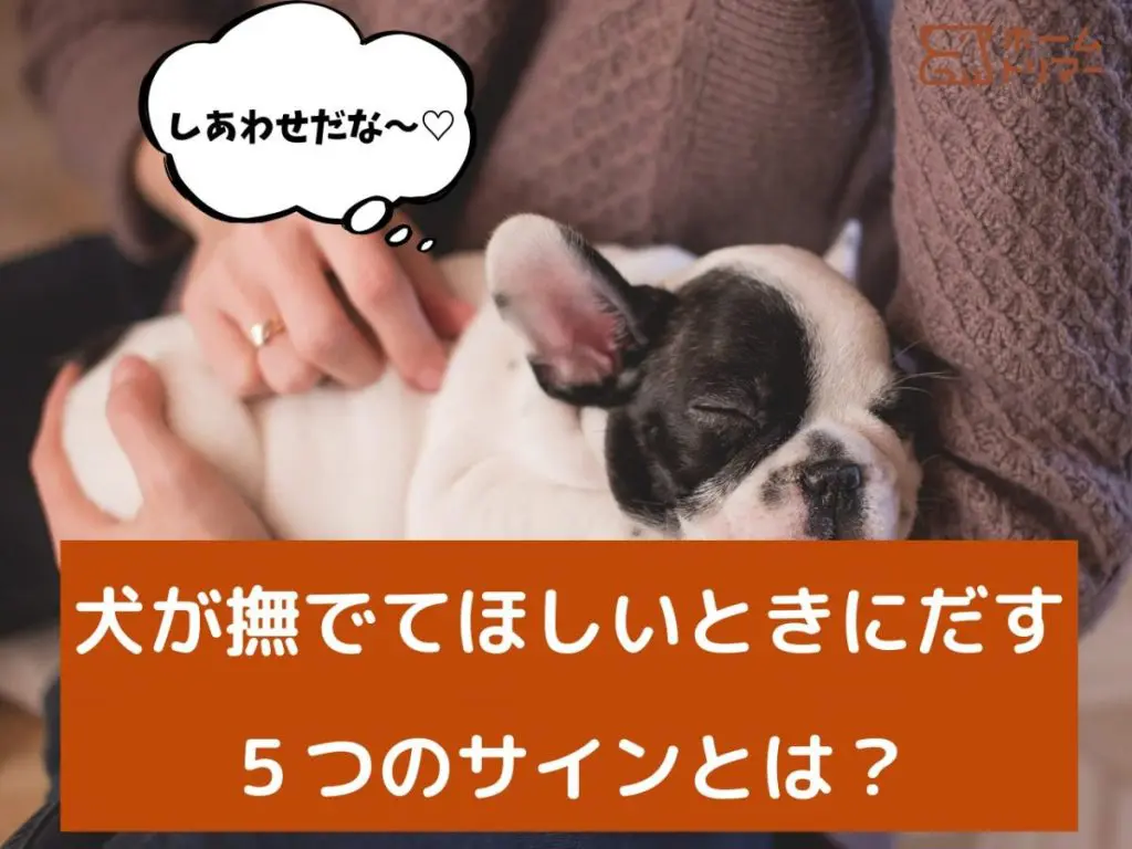 (CD)愛犬家のためのペットロス回復プログラム ~ペットロス症候群を癒すセラピーCD~ 81wBdlcRz7L._UF350,350_QL50_.jpg